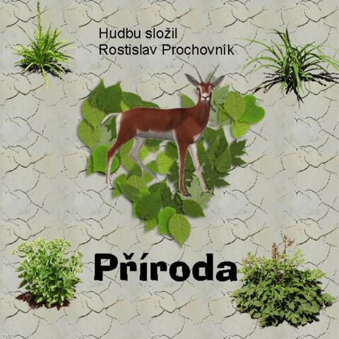Příroda