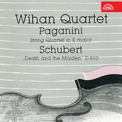 Guitar Quartet No. 7 in E Major, MS 34: II. Minutetto. Allegretto