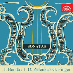 Sonata No. 6, .: I. Andante