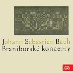 Brandenburg Concerto No. 2 in F-Sharp Major, .: II. Andante