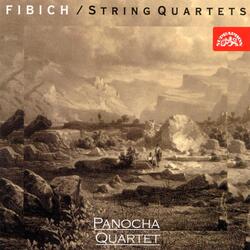 String Quartet No. 2 in G Major, Op. 8: II. Adagio