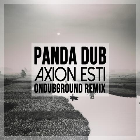 Axion Esti