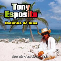 Kalimba De Luna