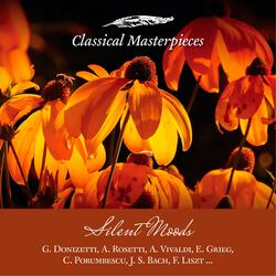 The Four Seasons, Concerto No. 3 in F Major " Autumn" in F Major, RV 293: Adagio Molto