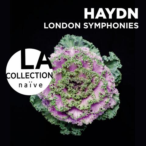 Haydn: London Symphonies
