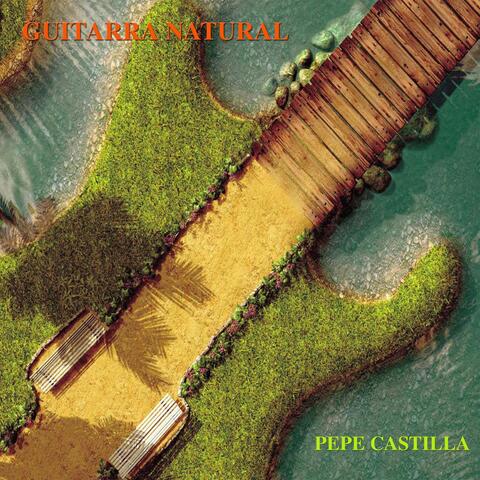 Guitarra Natural