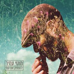 עצים