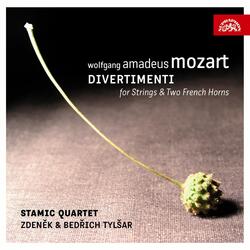 Divertimento No. 17 in D Major, K. 334: I. Allegro