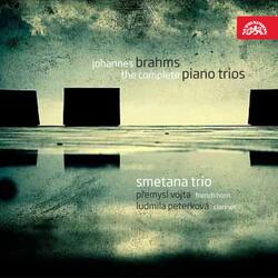 Clarinet Trio in A Minor, Op. 114: I. Allegro