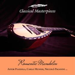 Aria Variata: 6. Var. Allegro (Arr. for Mandolin & Guitar)