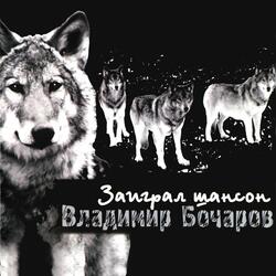 Жучка