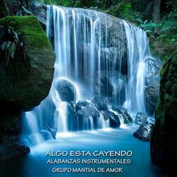 Algo Está Cayendo