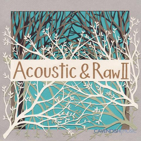 Acoustic & Raw 2