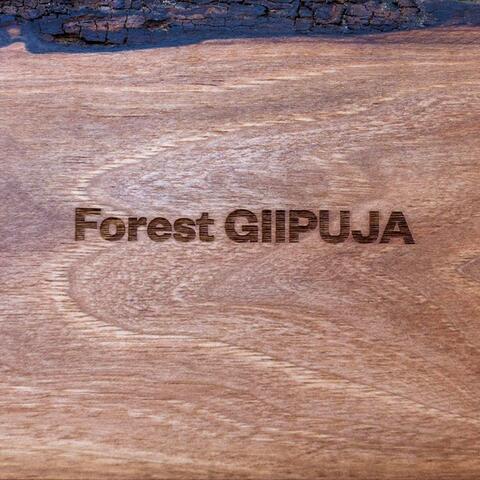 Forest Giipuja