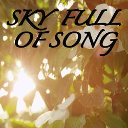 Sky Full of Song / Tribute to Florence and the Machine
