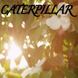 Caterpillar / Tribute to Royce Da 5'9, Eminem and King Green