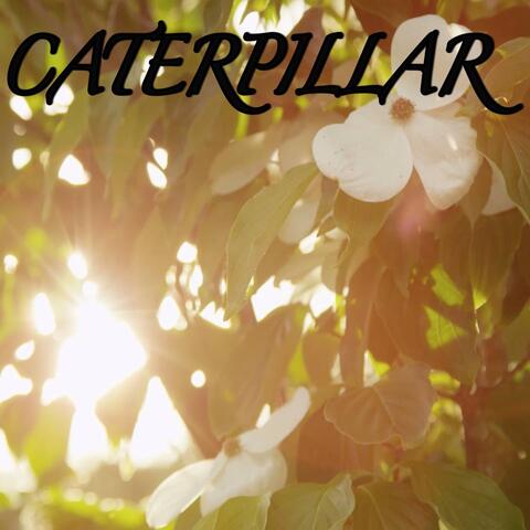 Caterpillar / Tribute to Royce da 5'9, Eminem and King Green
