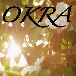 Okra / Tribute to Tyler the Creator