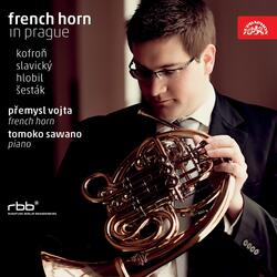 Sonata for French Horn and Piano, Op. 21: I. Animato