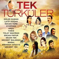 Gitti Gitti
