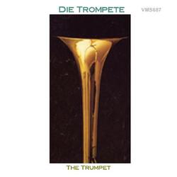 Concerto for Trumpet No. 3 in D Major: II. Largo