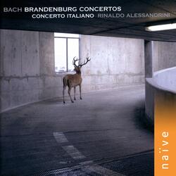 Six Brandenburg Concertos, No. 2 in F Major, BWV 1047: I. —