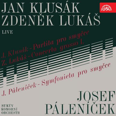 Suk Chamber Orchestra