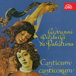 Canticum canticorum, .: Vox dilecti mei (att.)