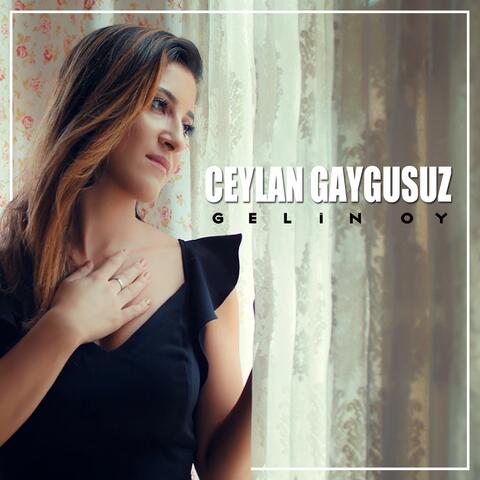 Gelin Oy