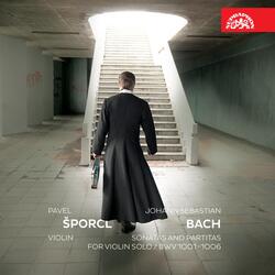 Violin Partita No.1 in B Minor, BWV 1002: VIII. Double IV