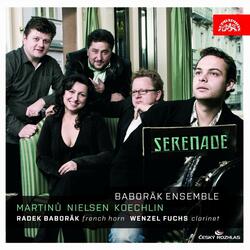 Serenade for Clarinet, French Horn, 3 Violins and Viola No. 1 in A Minor: I. Allegro moderato