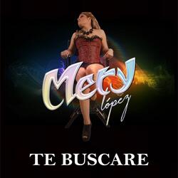 Te Buscaré