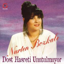 Dost Hasreti