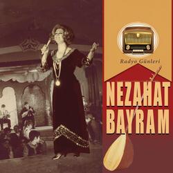 Taşa Çaldım Ayva İle Narımı