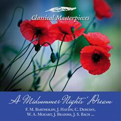 Symphony No. 104 "Salomon/London" 1795 D Major: Adagio-Allegro