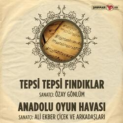 Tepsi Tepsi Fındık