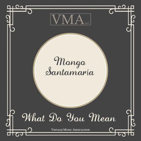 What Do You Mean