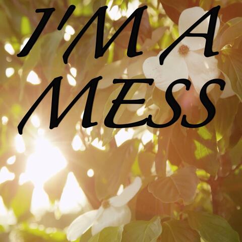 I'm A Mess