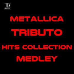 Metallica Medley: Enter Sandman / Until It Sleeps / Turn the Page / Nothing Else Matters / I Disappear / The Unforgiven / Sad but True / Fuel / For Whom the Bells Tolls / Fade to Black / Master of Puppets / The Memory Remains / Seek & Destroy