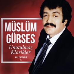 Ben İnsan Değil miyim