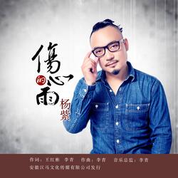 伤心的雨