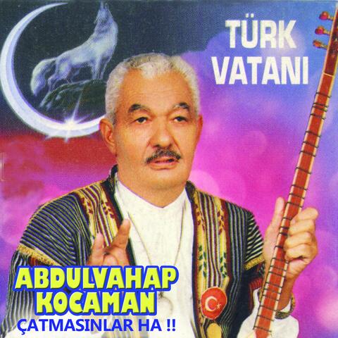 Türk Vatanı