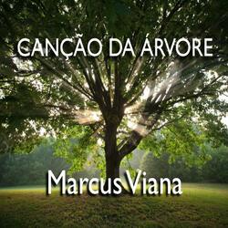 Canção da Arvore