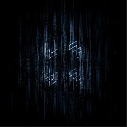 Holes in the Holoverse