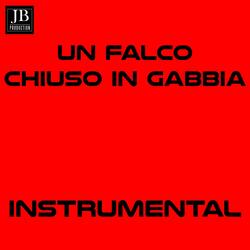 Un falco chiuso in gabbia