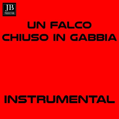 Un falco chiuso in gabbia