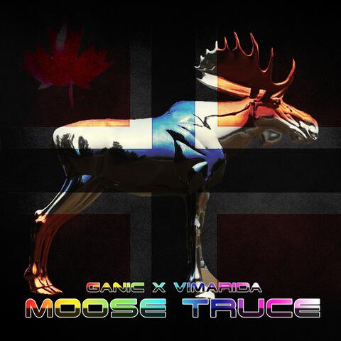 Moose Truce