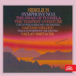 Symphony No. 5 in E-Flat Major, Op. 82, .: I. Tempo molto moderato
