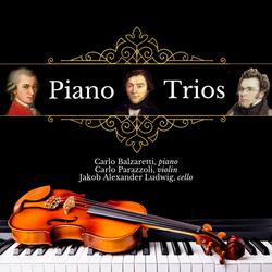 Divertimento in B-Flat Major, K. 254: I. Allegro assai