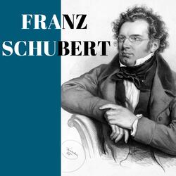 Symphony No. 8 in B Minor, D. 759 "Unfinished": I. Allegro moderato